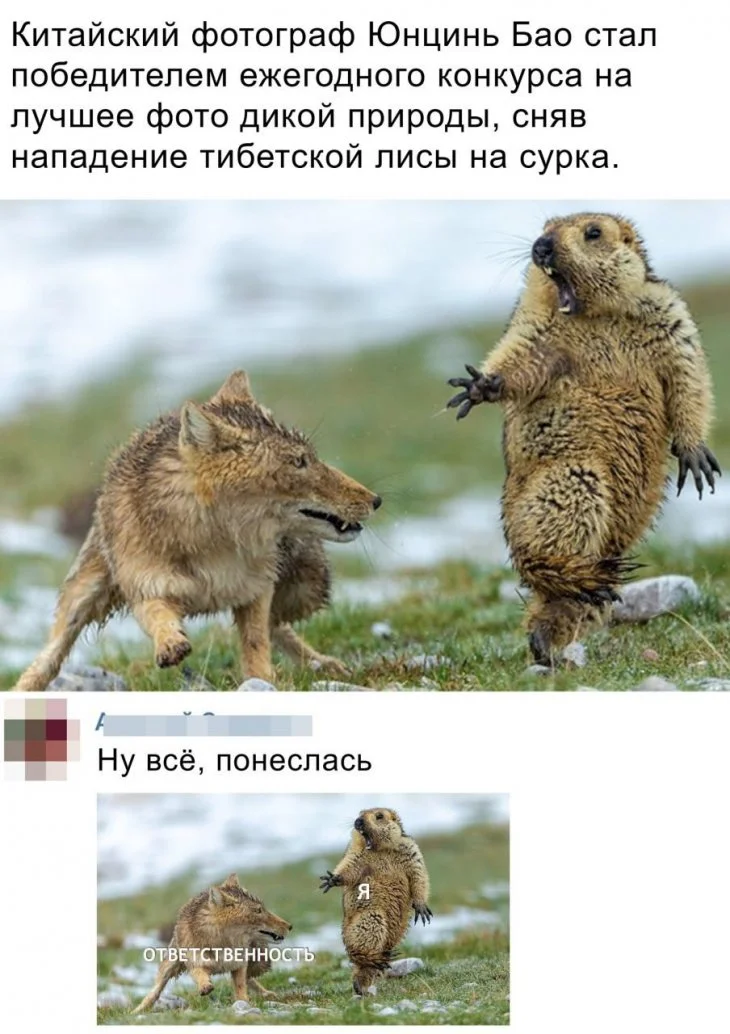 Внезапно | Пикабу