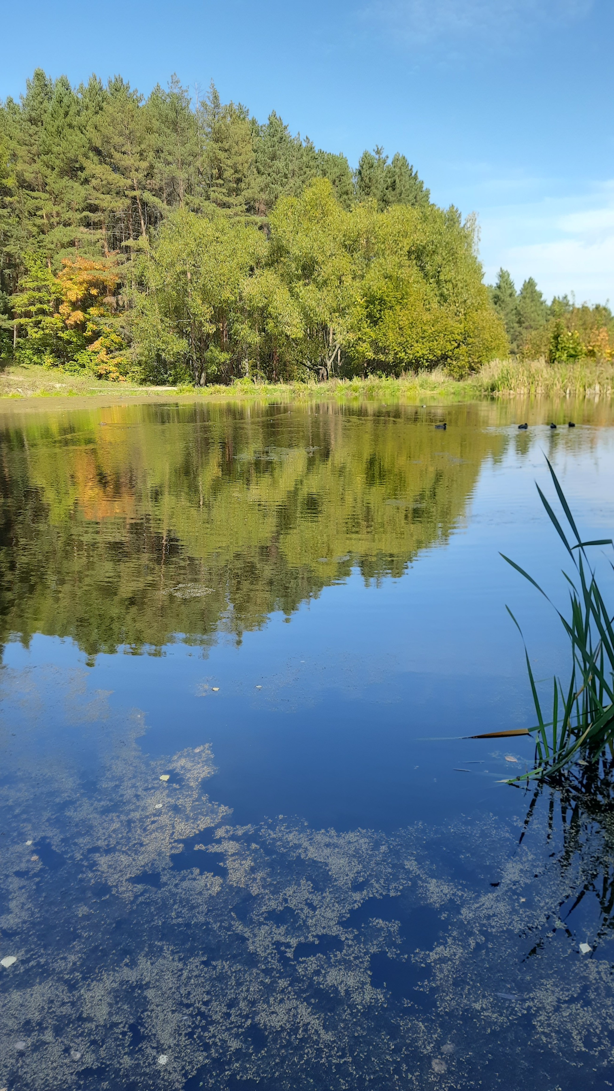 В город-> | Пикабу