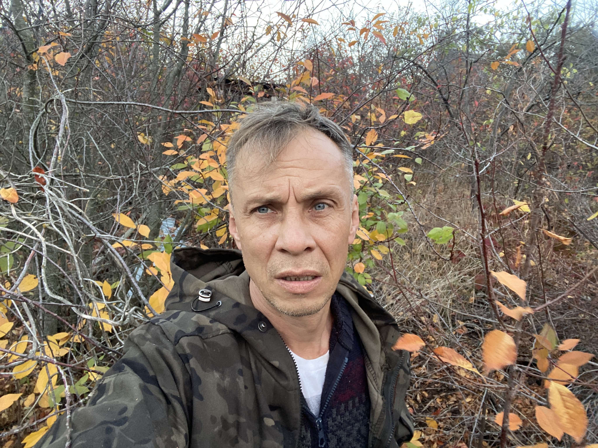 Почти вернули половину стоимости дачи, продавая из нее всякий «хлам ...