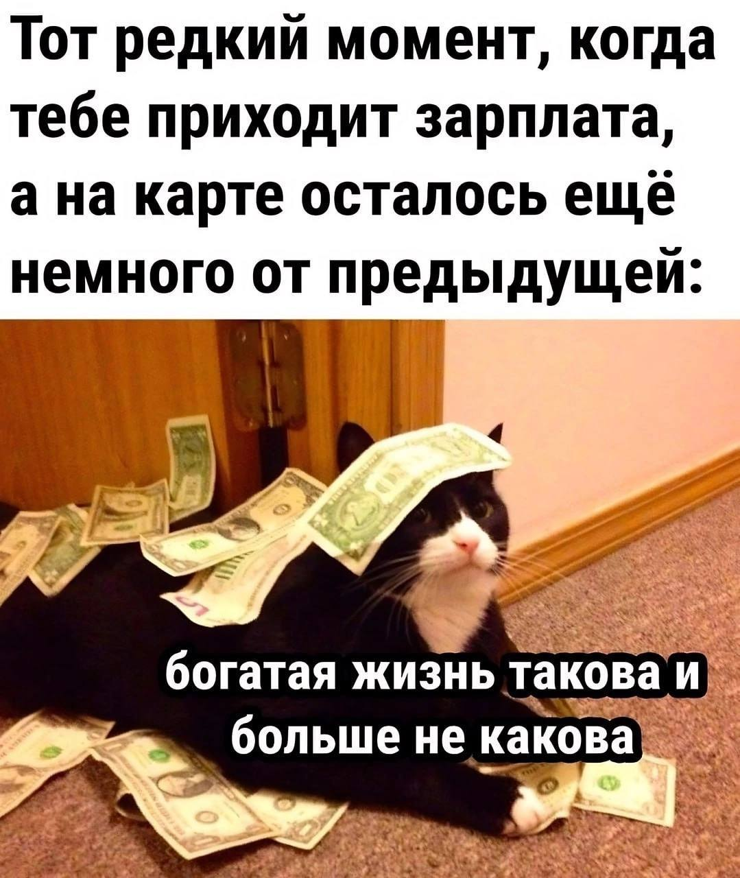 Ох это богатая жизнь ))) | Пикабу