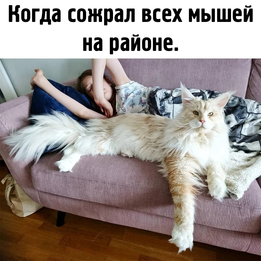 Великан | Пикабу