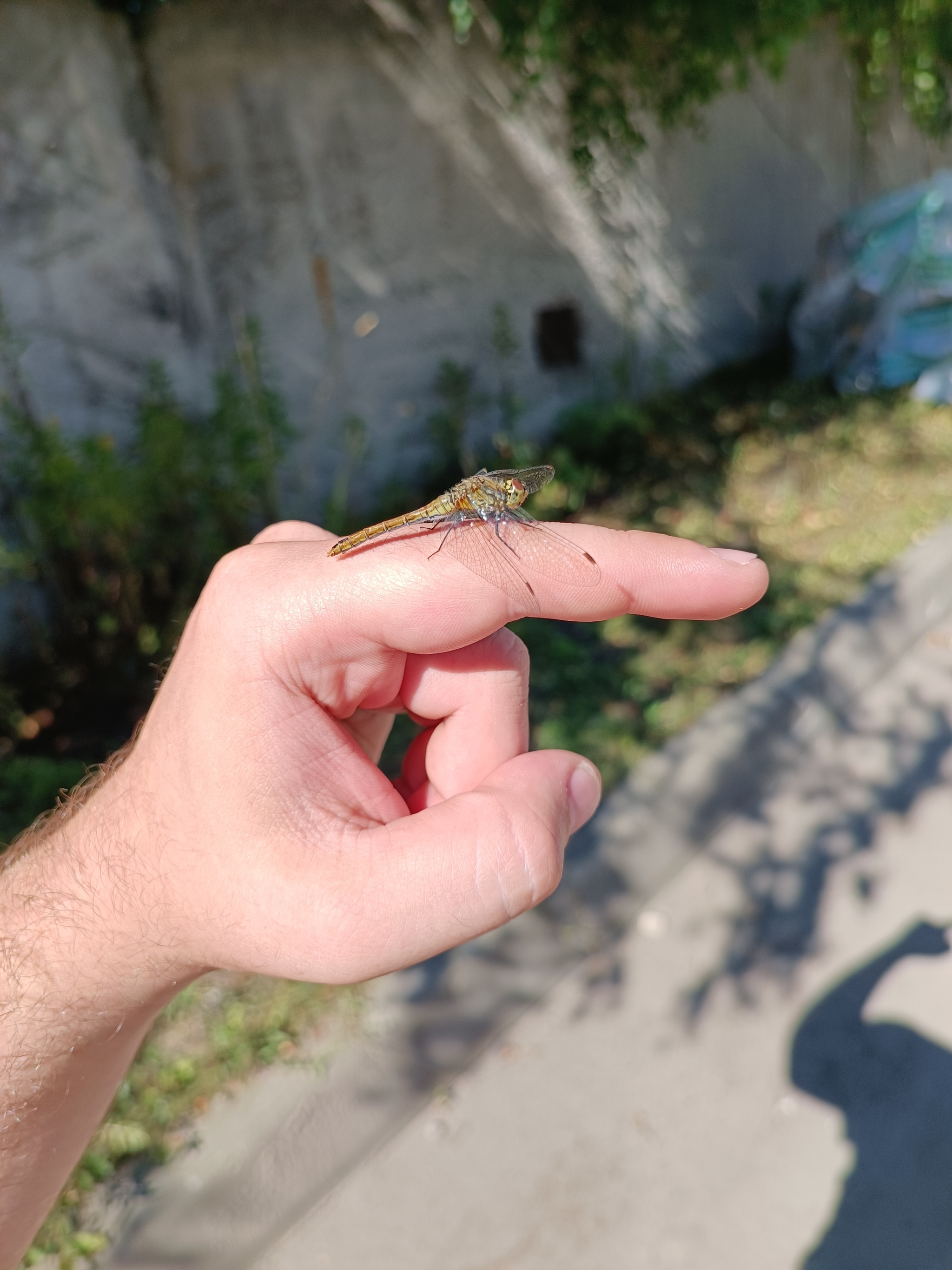 Лето, ах лето | Пикабу