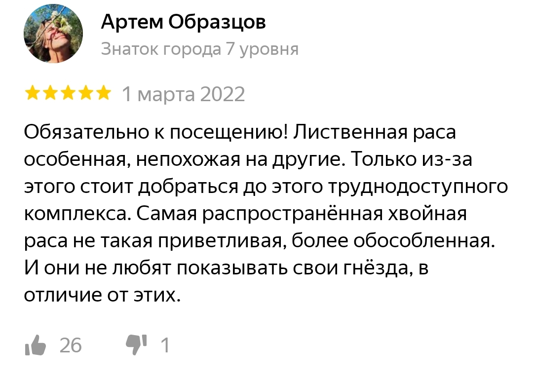 Муравьи лиственной расы | Пикабу