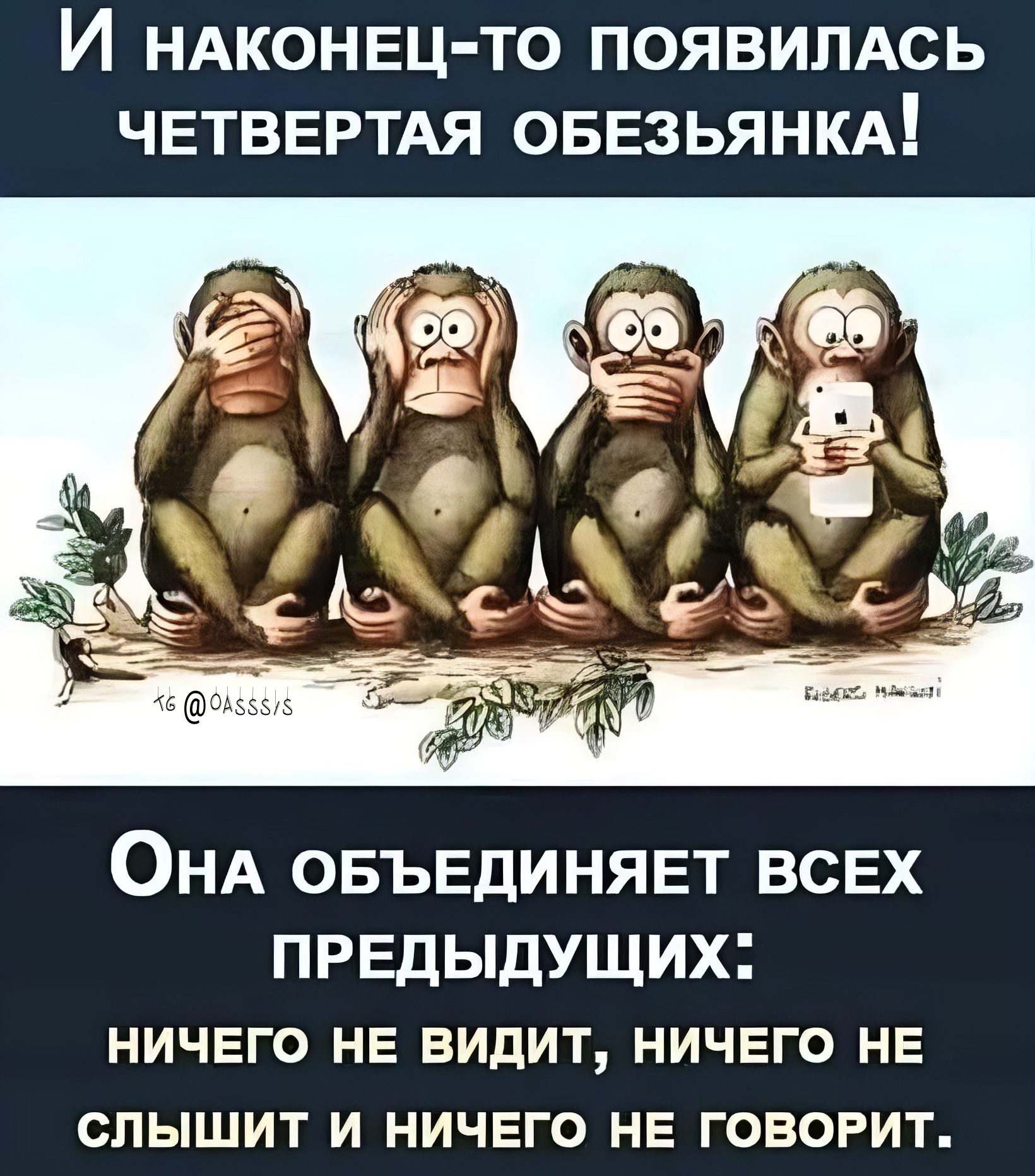 Все мы немного четвёртая обезьянка | Пикабу