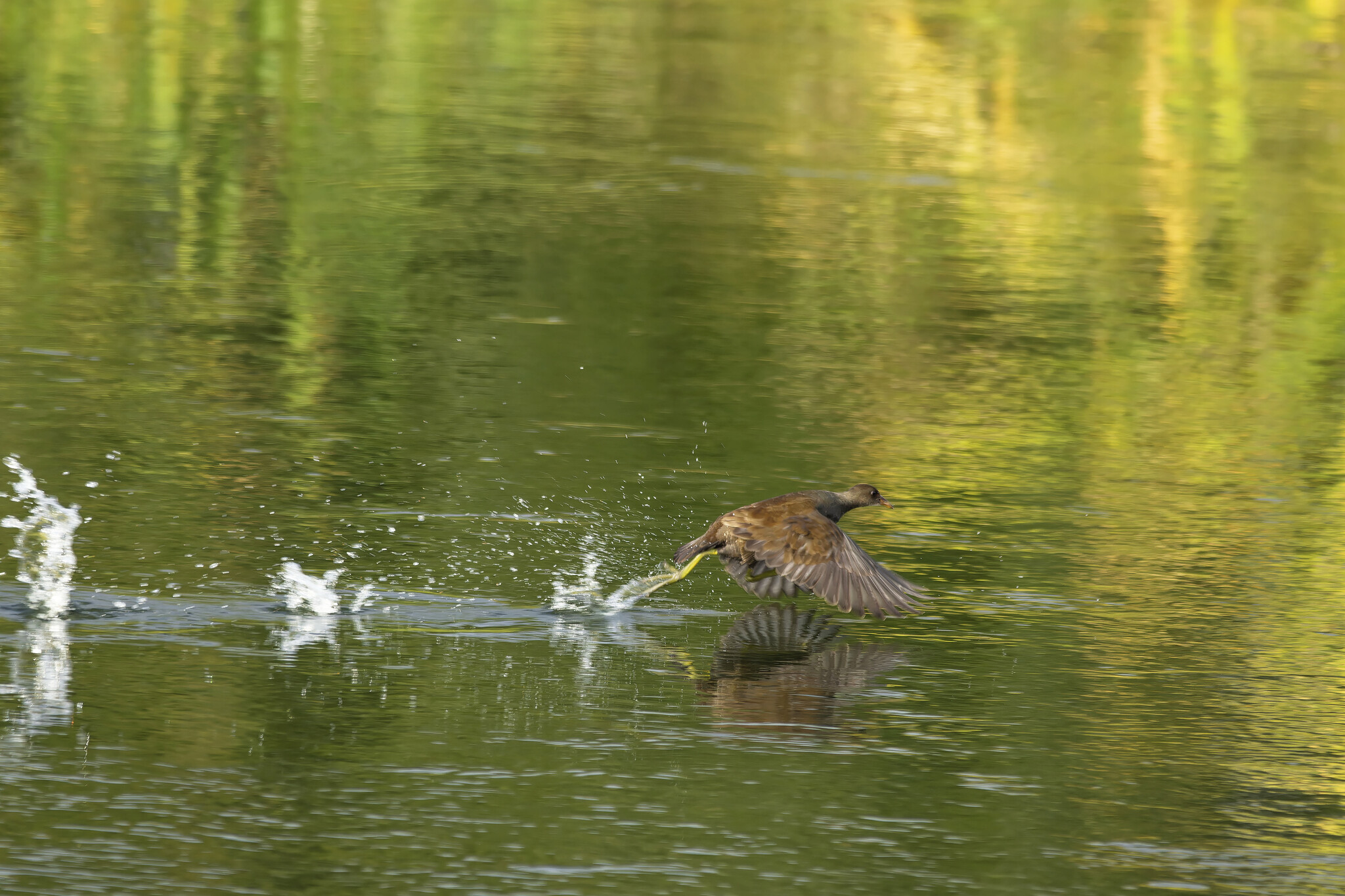 Внезапно я | Пикабу