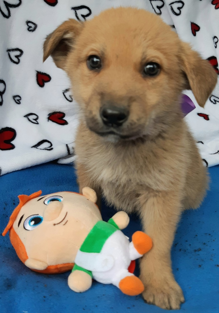 Каспер | Пикабу