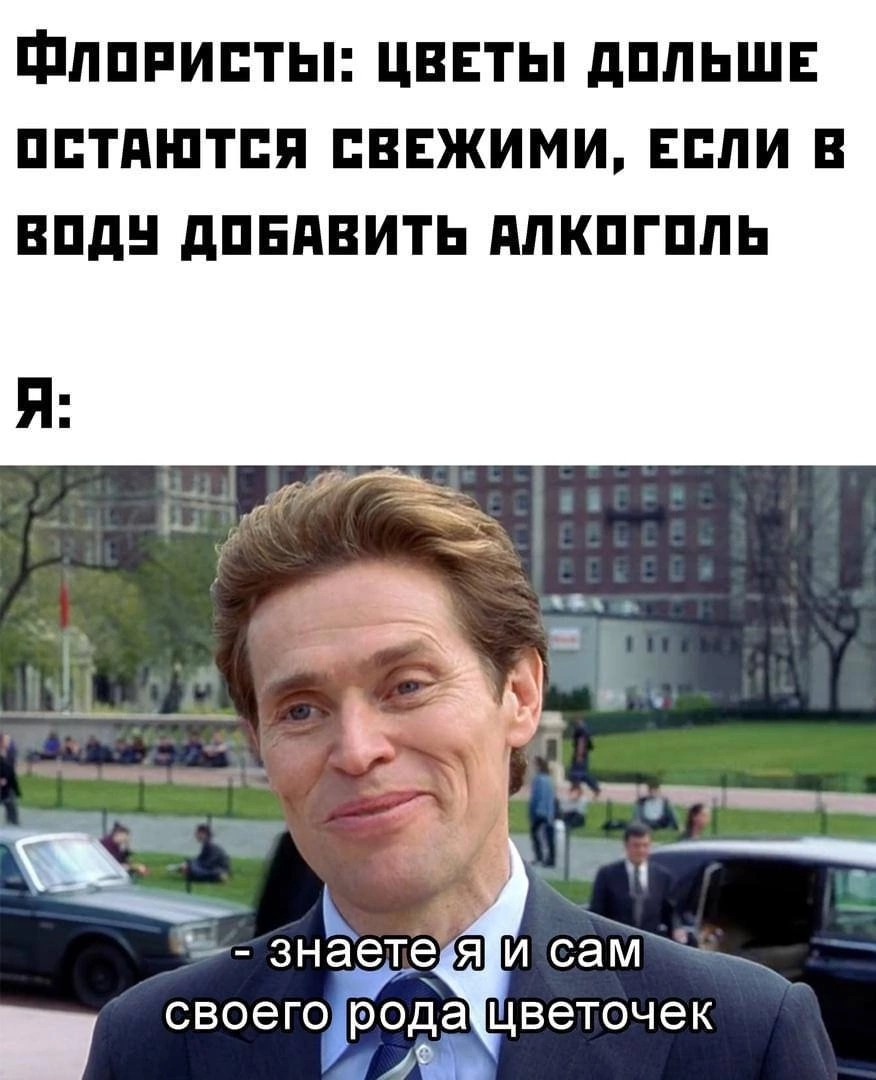 Одуванчик | Пикабу