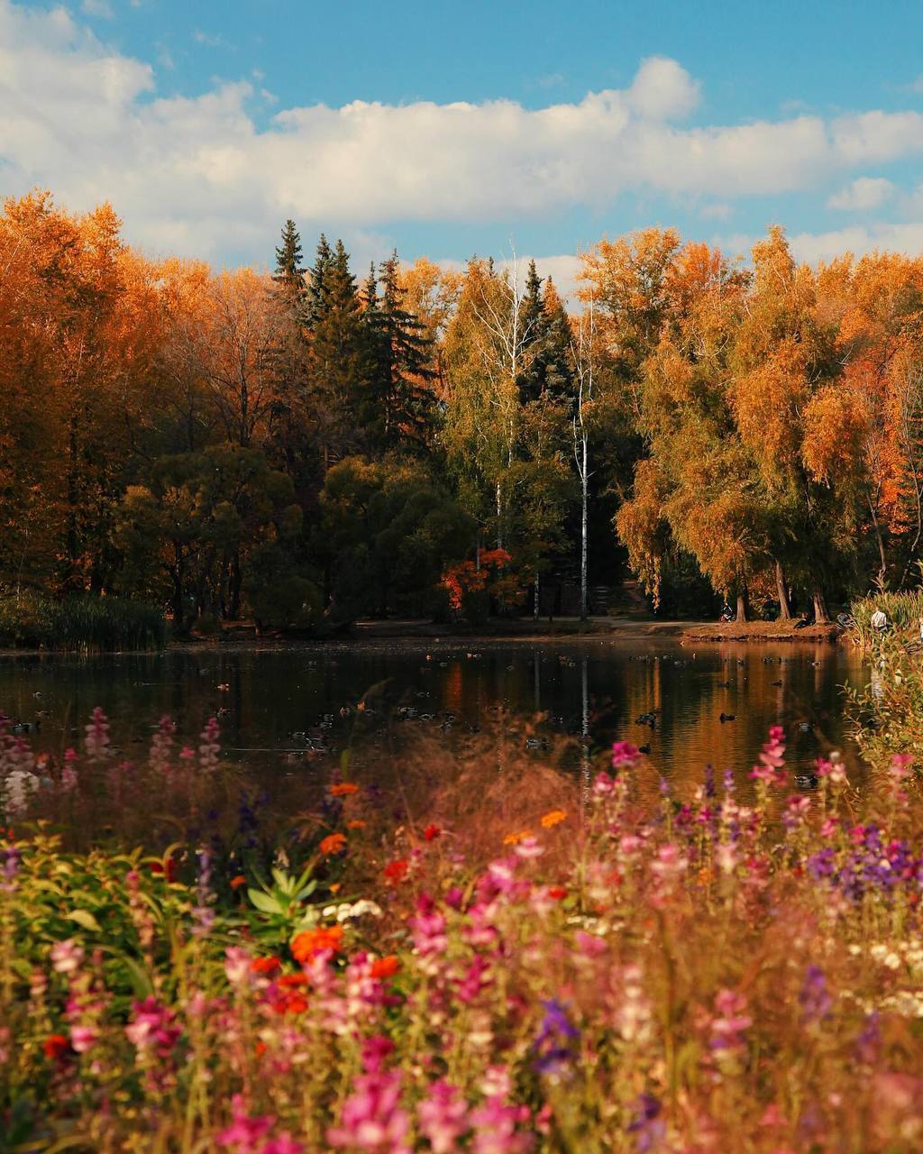 Осень В Екатеринбурге Фото