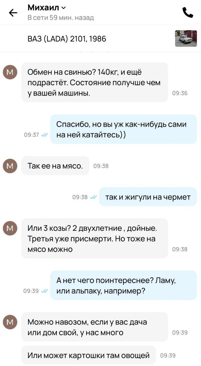 С Avito у вас всегда под рукой огромный выбор товаров и услуг, разнообразие  категорий и возможность найти именно то, что вас интересует | Пикабу