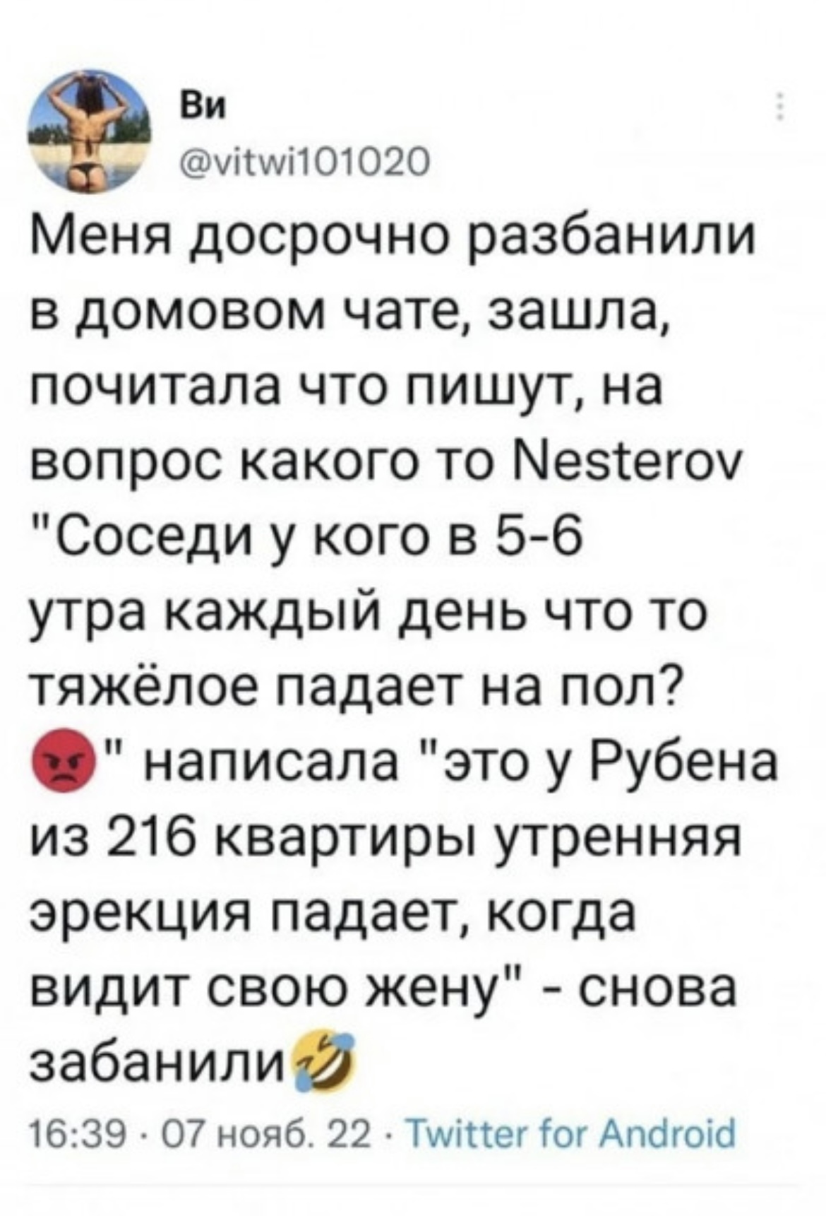 Досрочно разбанили в домовом чате | Пикабу