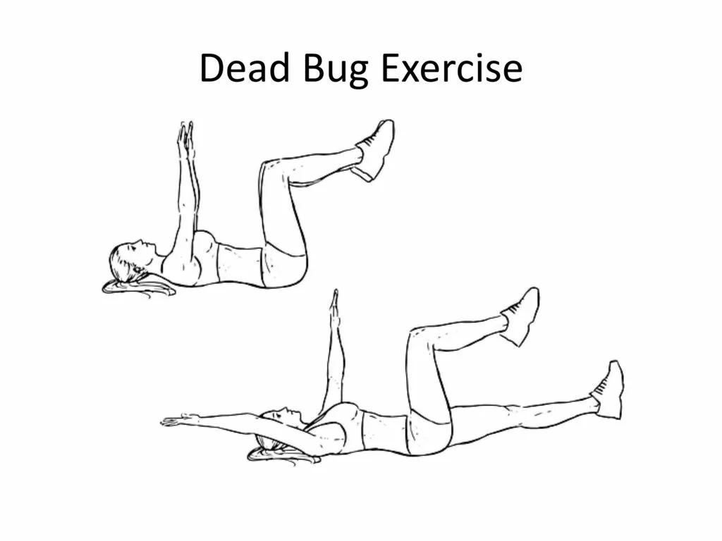 Creatine Xplode ���������: ����.