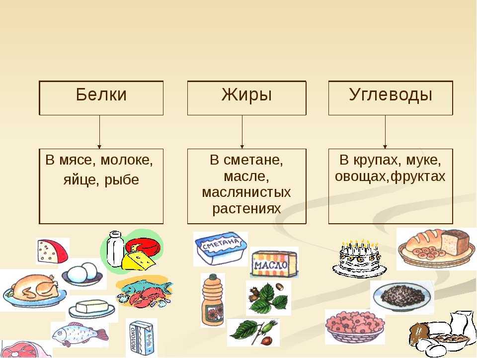 Рецепты с указанием калорий и БЖУ - Ежедневное меню - уральские-газоны.рф