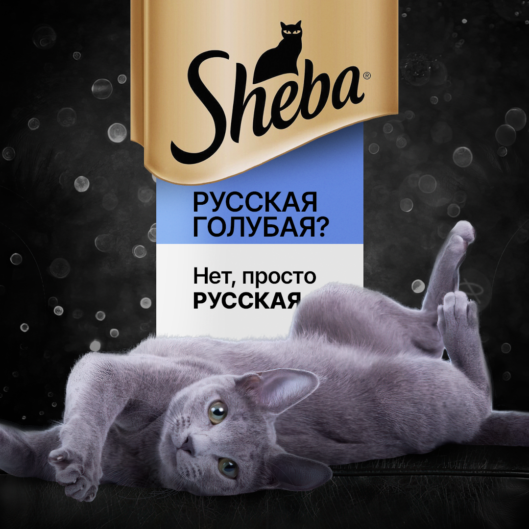шеба корм для кошек реклама