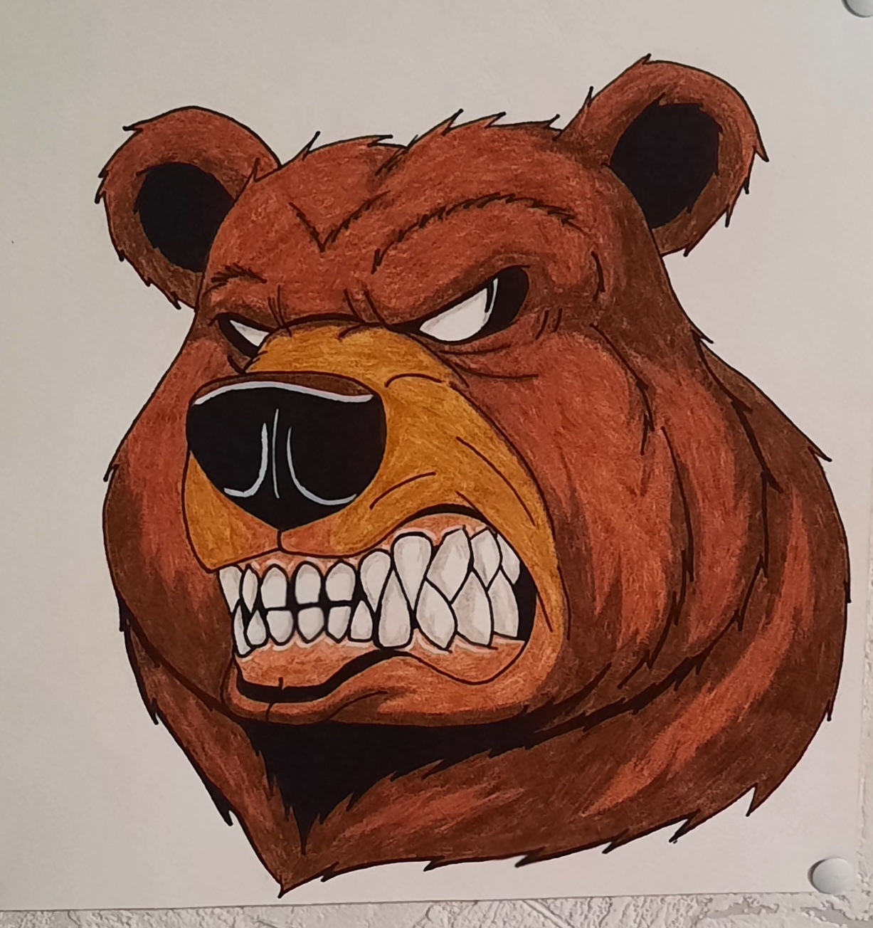 Злой мишка картинки