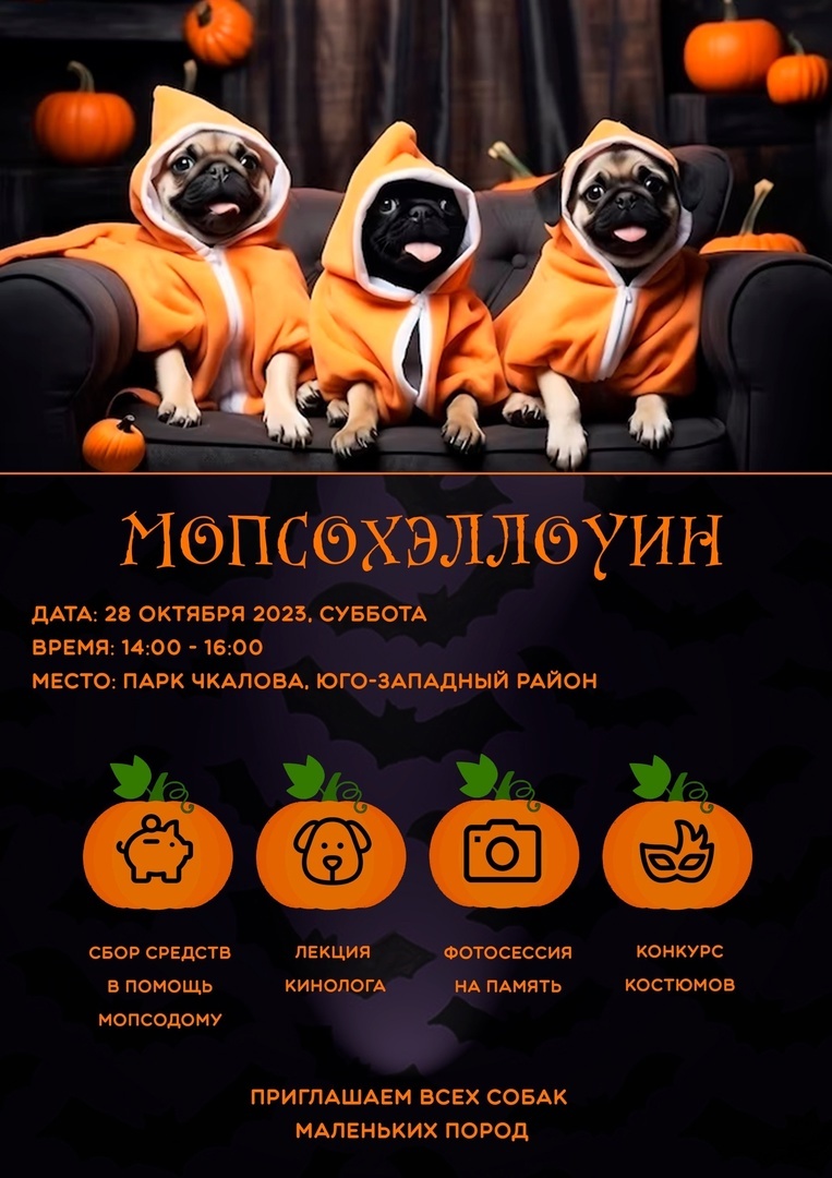 МопсоХэллоуин в Екатеринбурге 28/10 | Пикабу