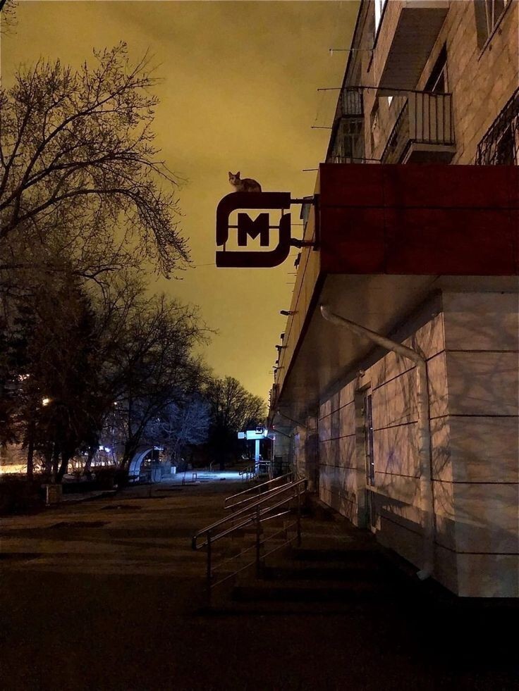Магнит | Пикабу