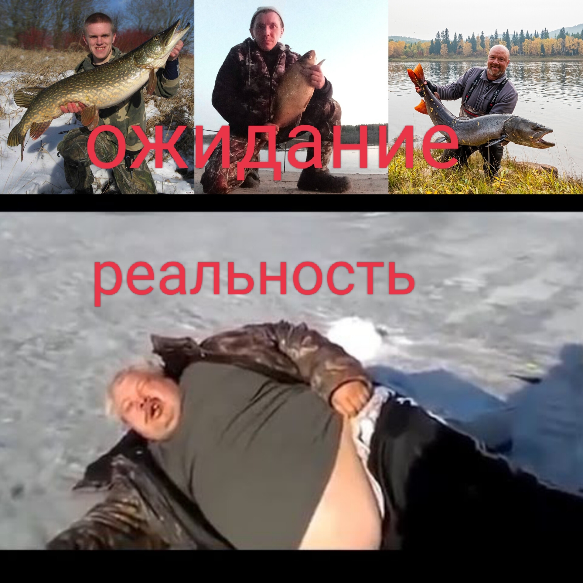 Ожидание- реальность... | Пикабу