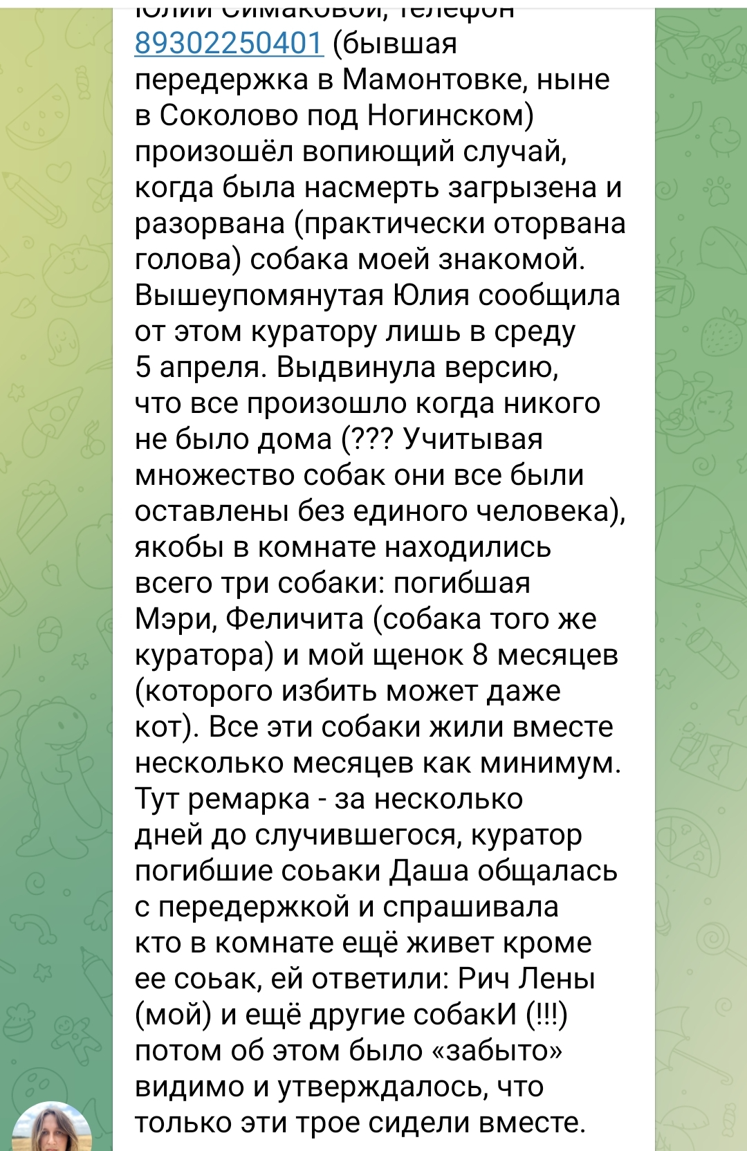 Прошу помощи у добрых сердец, 4 собаки вчера остались без временного дома!  Их забрали с чёрной передержки | Пикабу