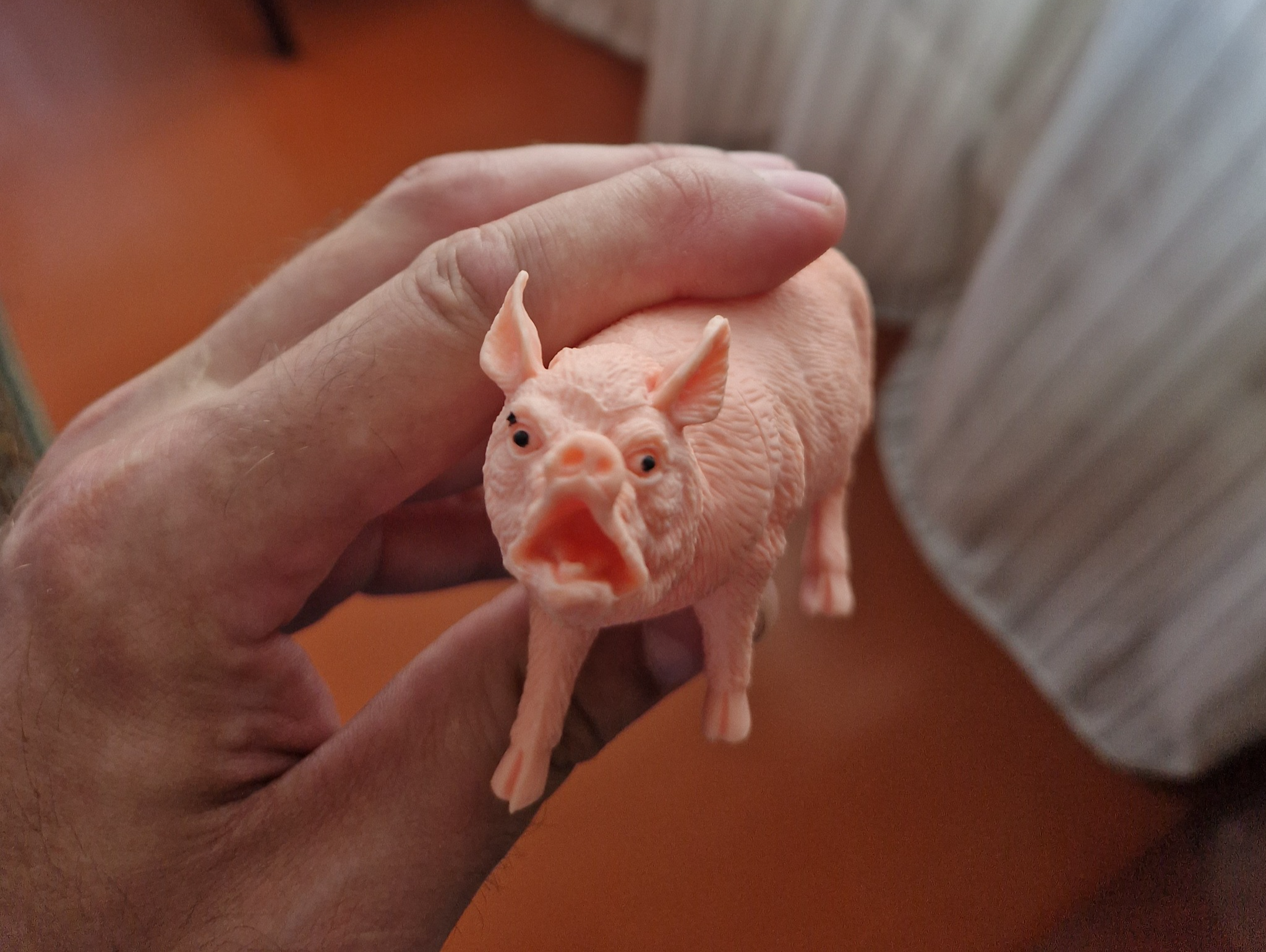 Радостная свинка | Пикабу