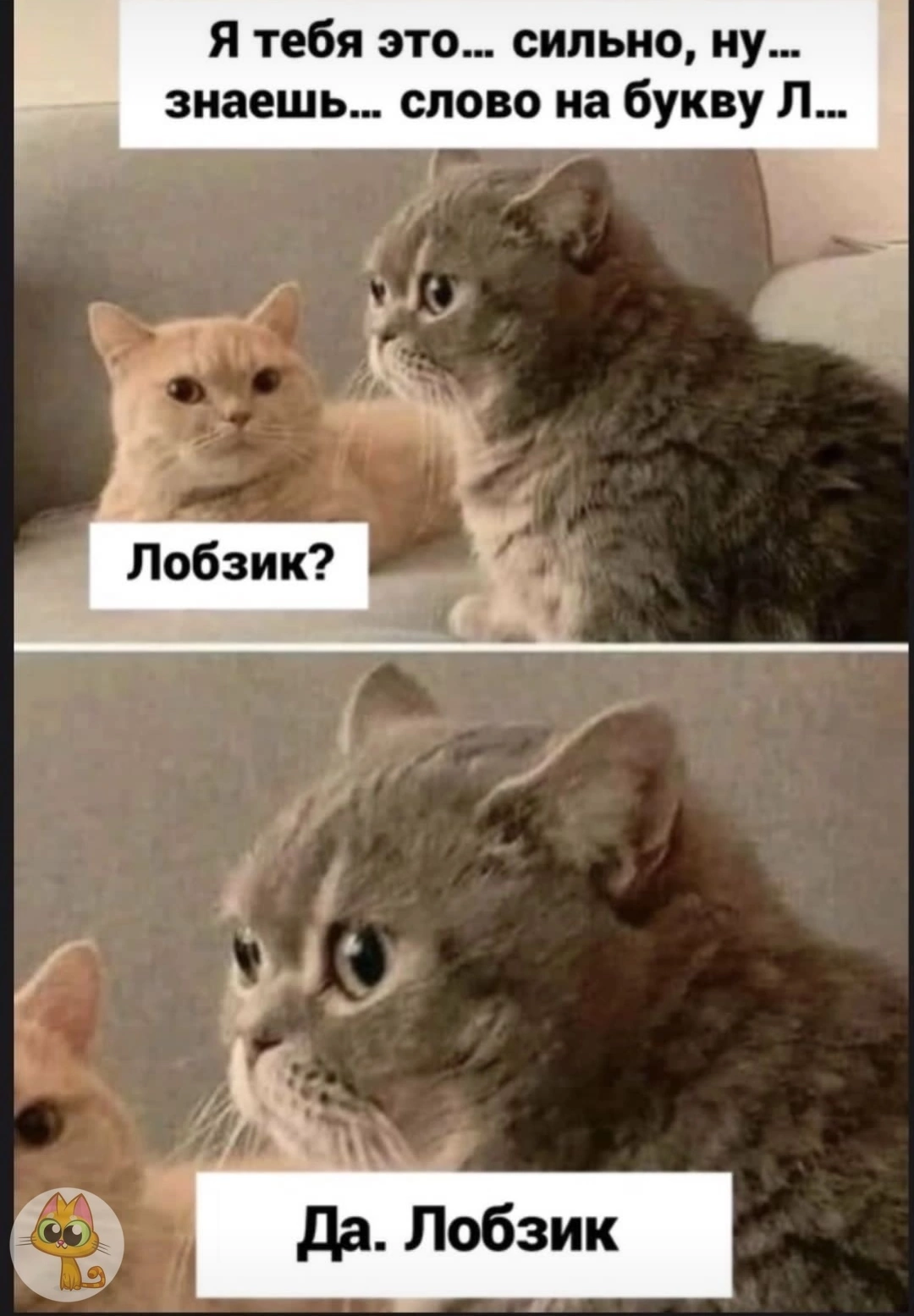 Картинки с намеком