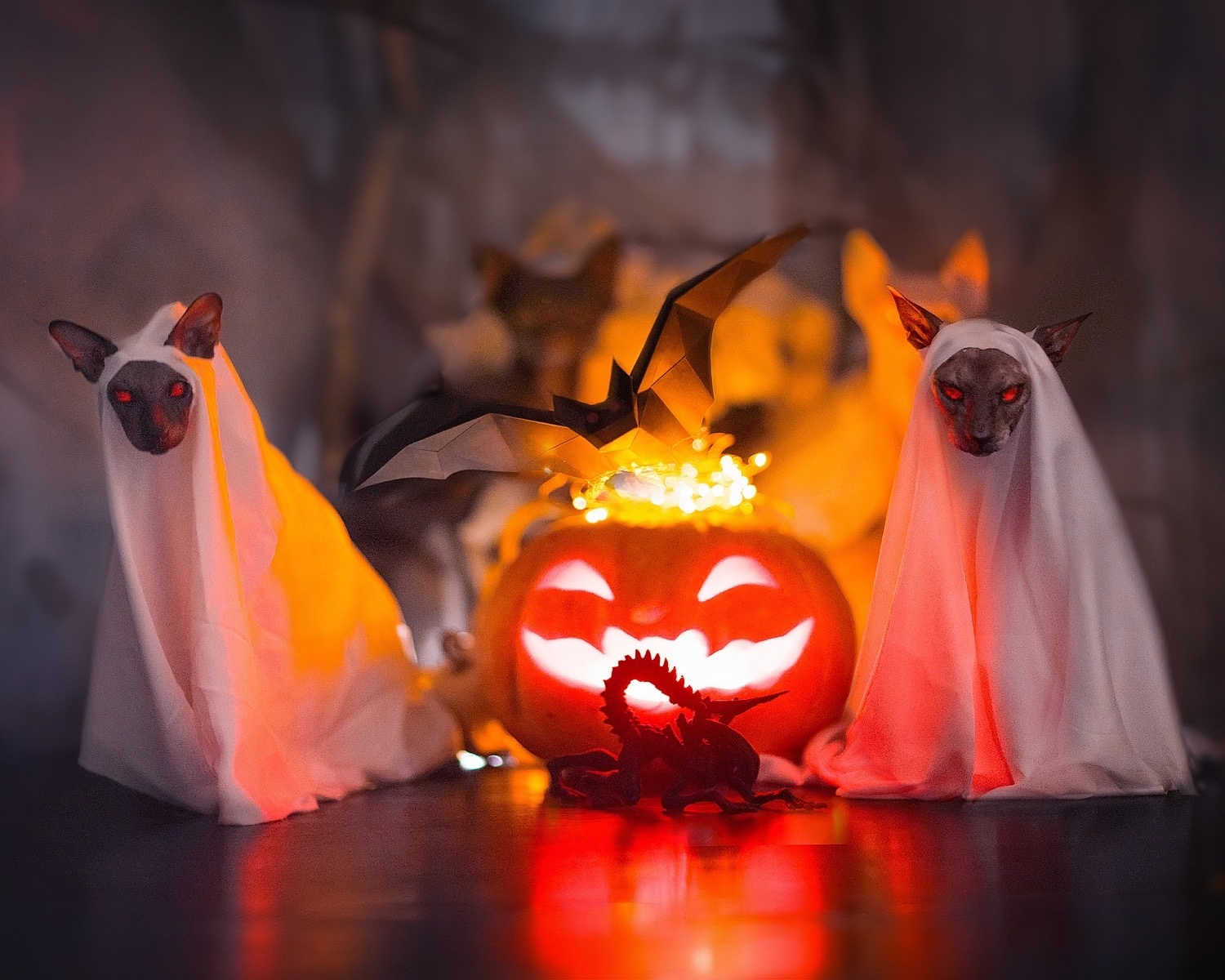 Halloween | Пикабу