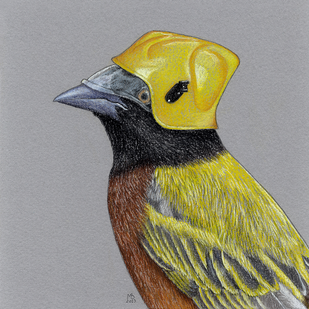 Ткач Джексона | Пикабу