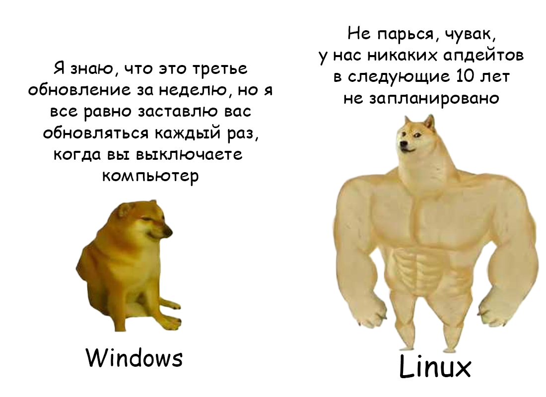 ТОП-17 курсов администрирования Linux + бесплатное обучение для системных  администраторов | Пикабу