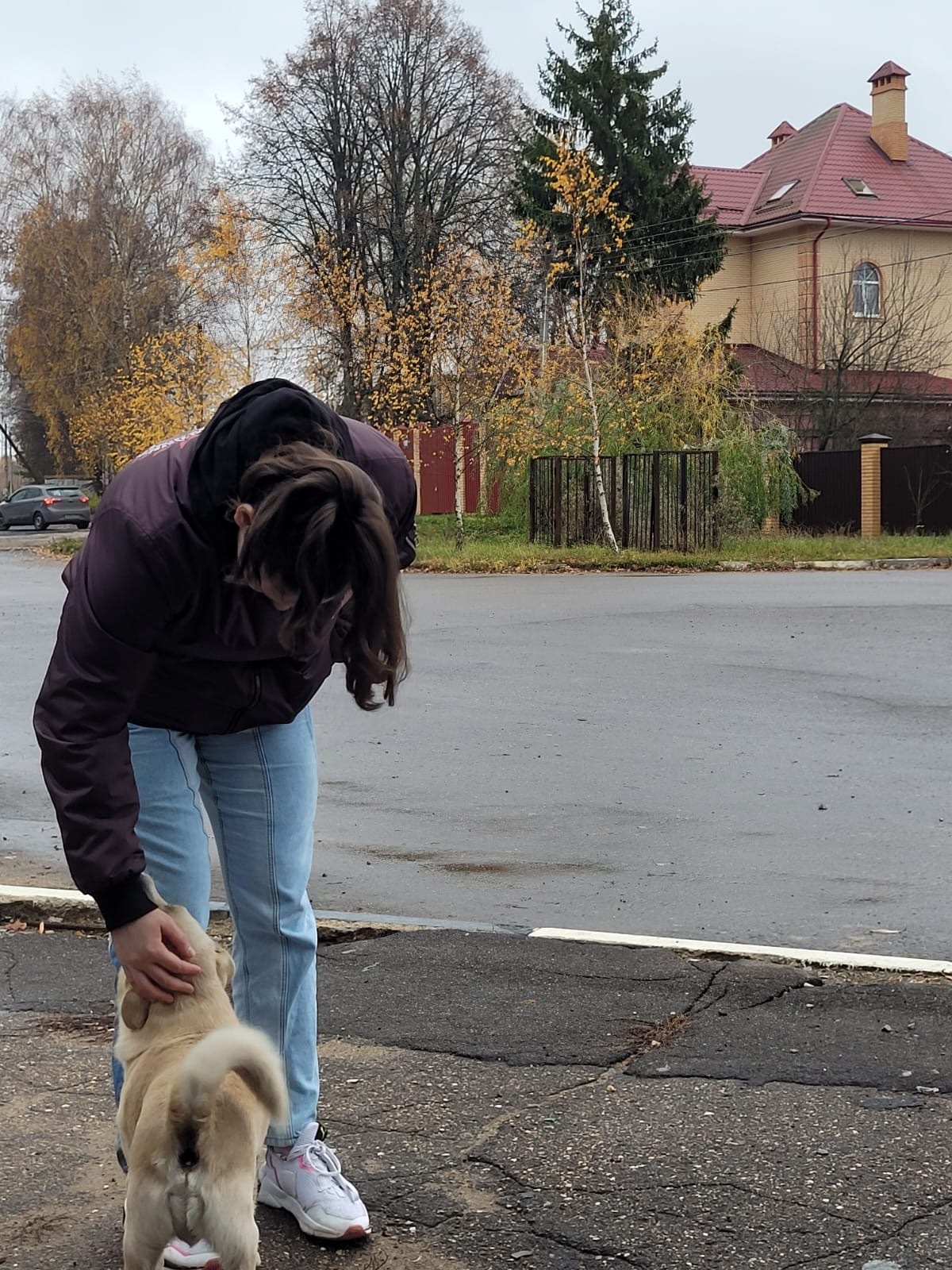 Сегодня мой мир перевернулся | Пикабу