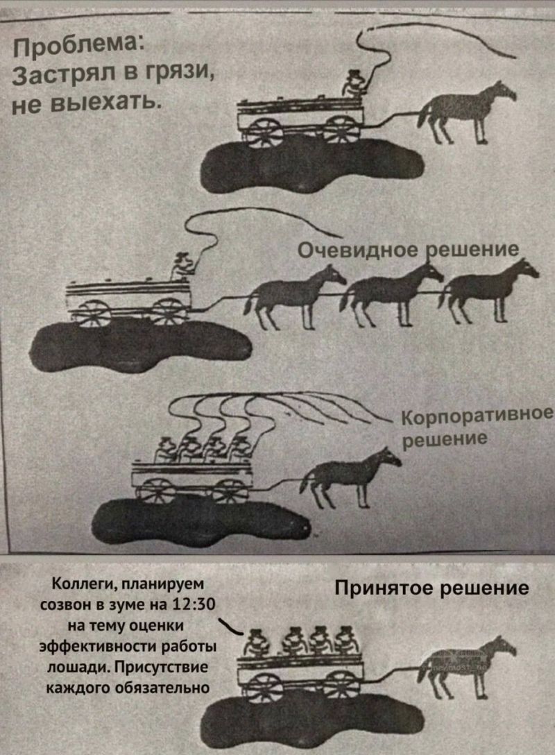 РАБОТОДАТЕЛИ СТРАННЫЙ НАРОД | Пикабу