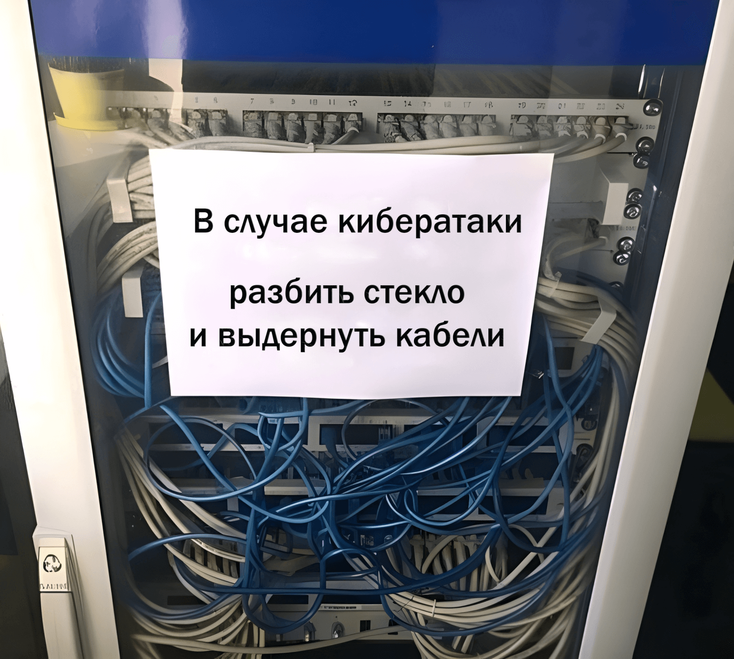 Лучшие курсы по информационной безопасности + бесплатное обучение  кибербезопасности и защите информации | Пикабу