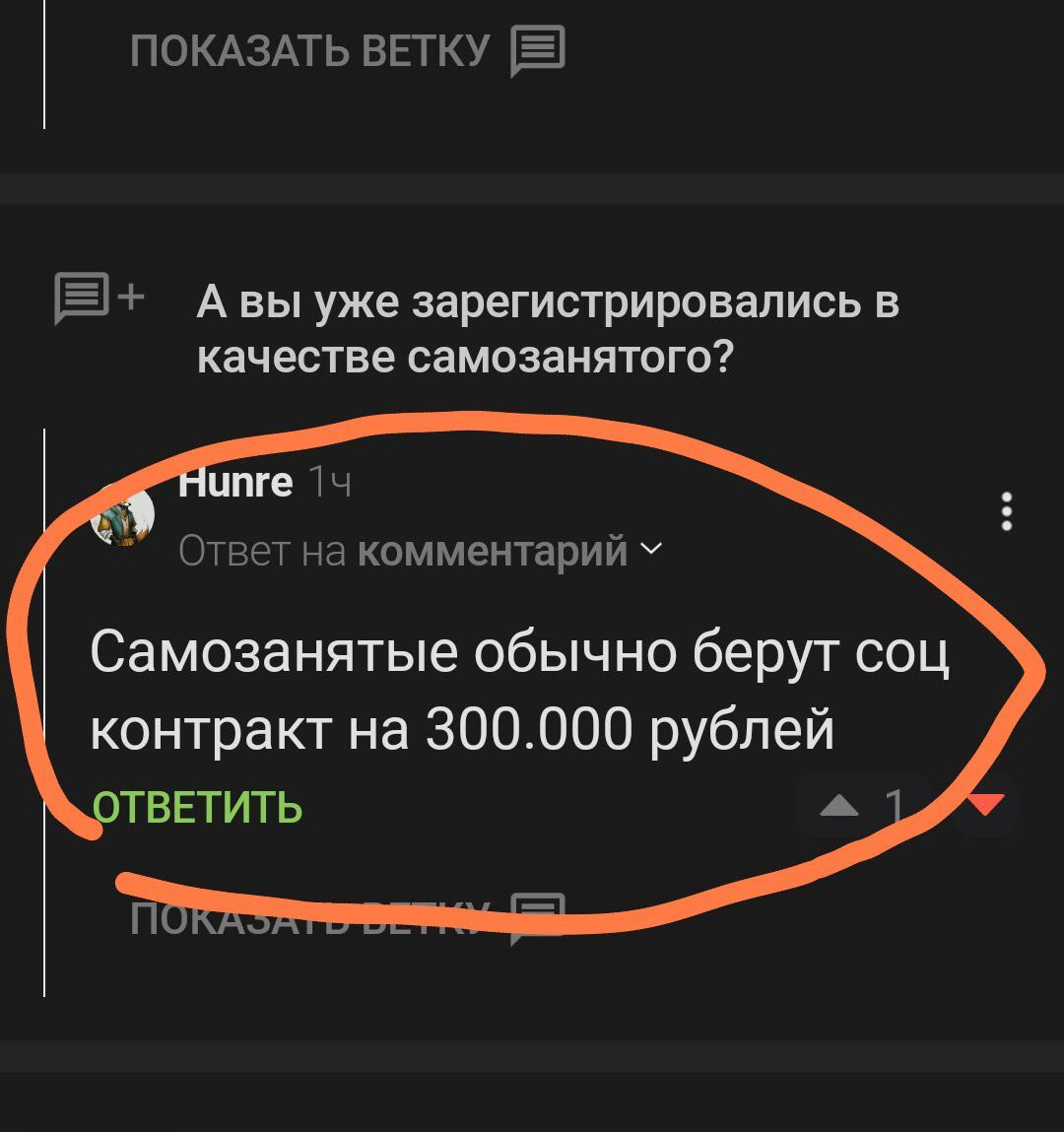 Ответ на пост «А вы уже зарегистрировались в качестве самозанятого?» |  Пикабу