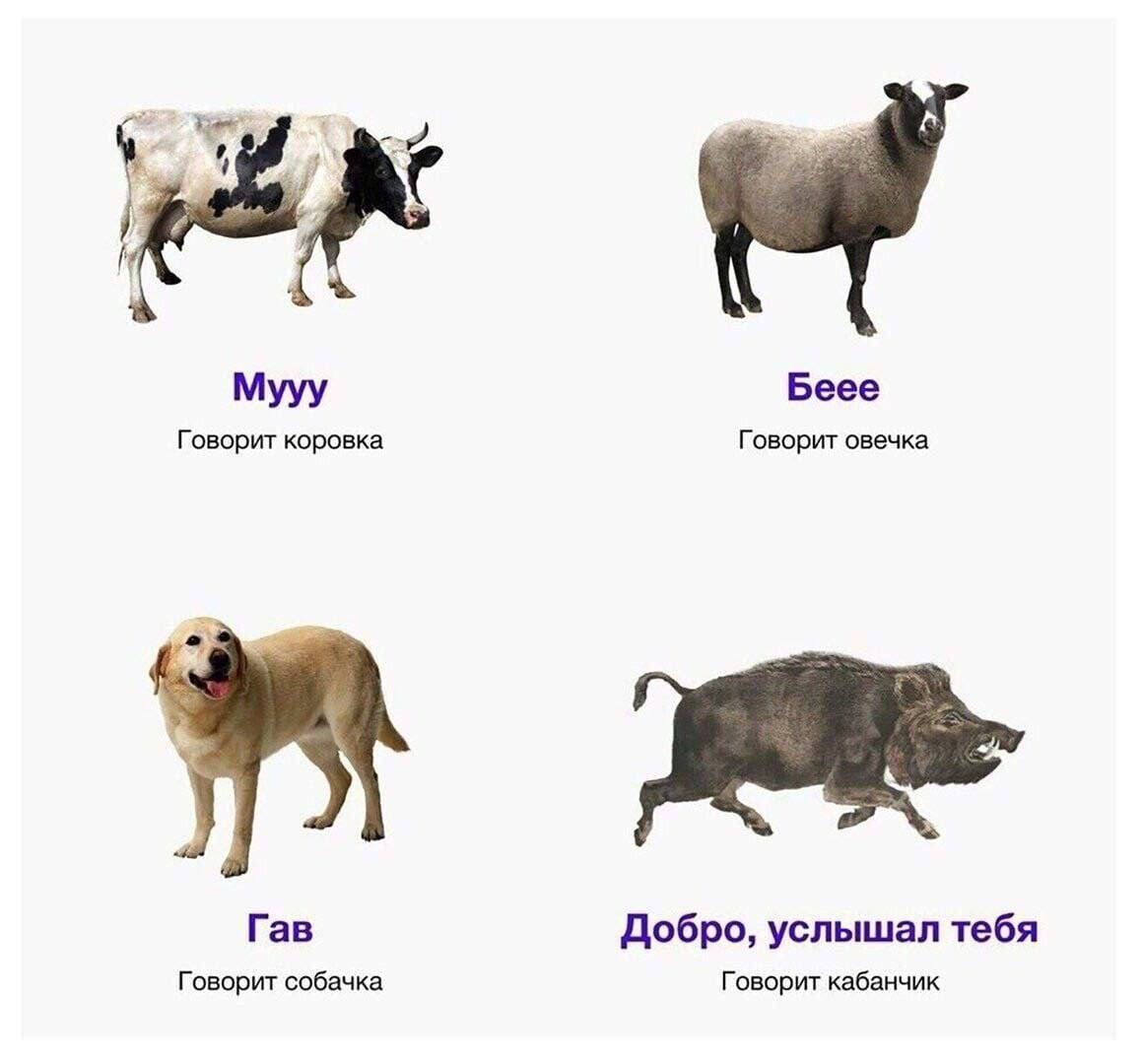 Учим вместе | Пикабу
