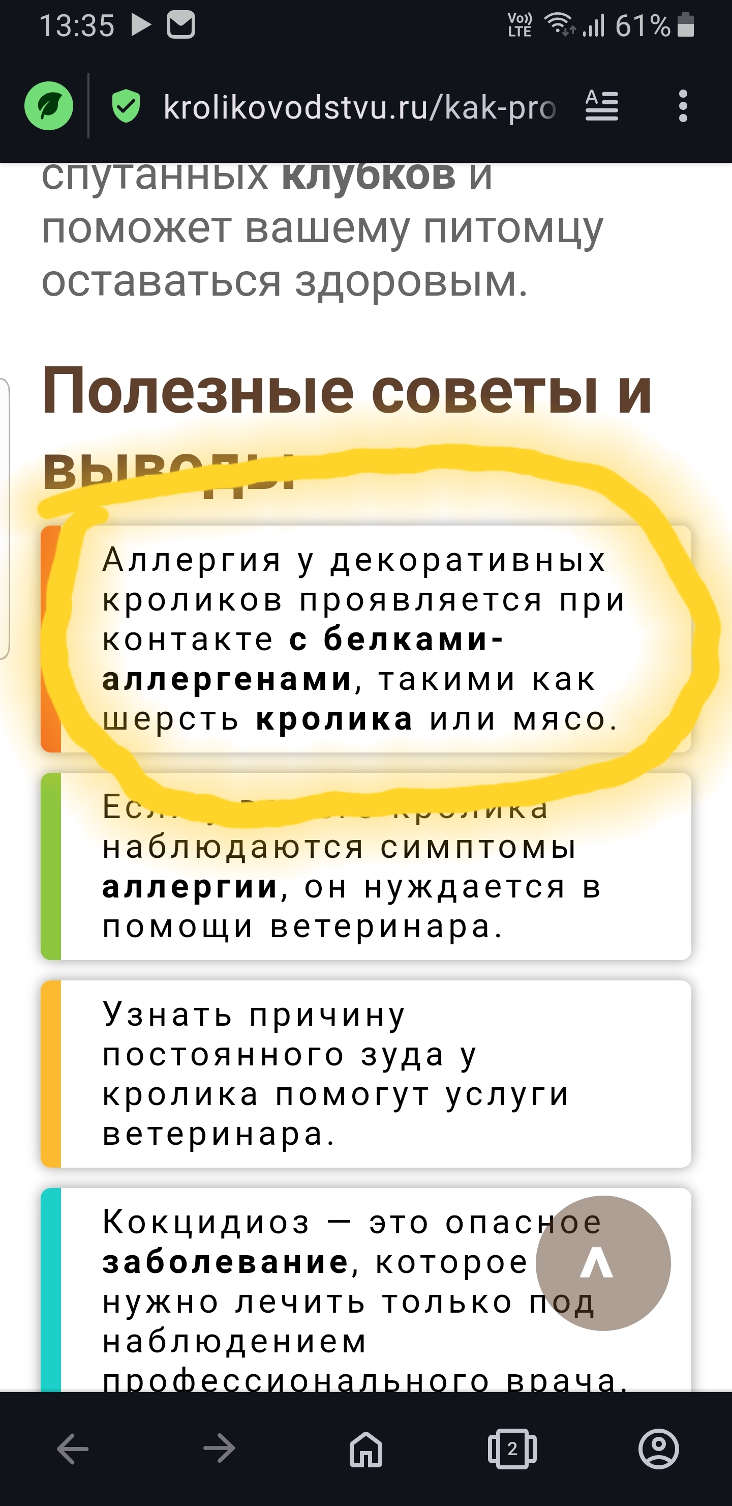 У кроликов аллергия на мясо и шерсть кроликов! Нашла в интернете | Пикабу