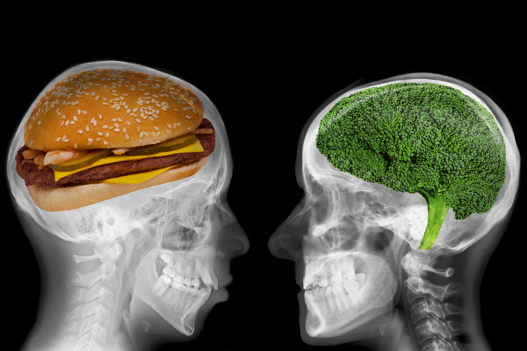 Разрушь еду. Питание для мозга. Психология еды. Пища для разума. Вредные продукты для мозга.