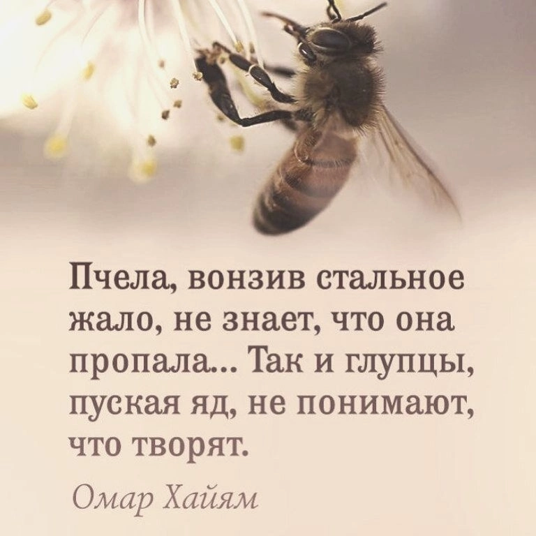 Мысли | Пикабу