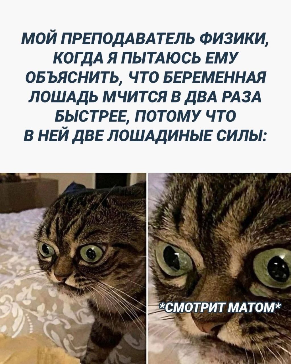 Две лошадиные силы) | Пикабу