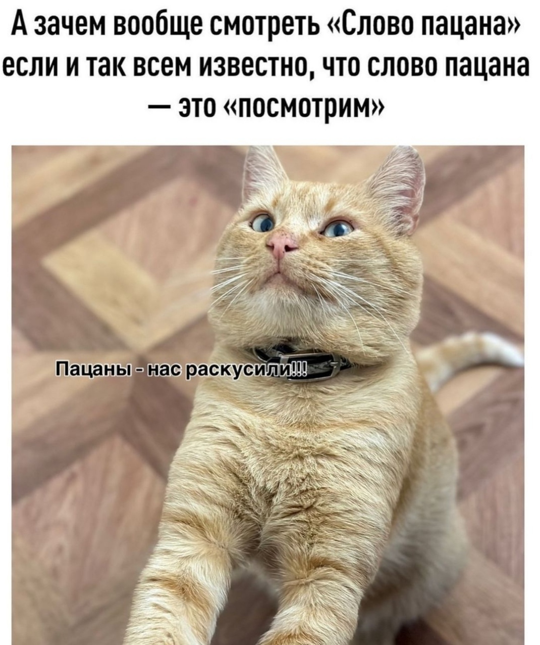 Зачем смотреть 