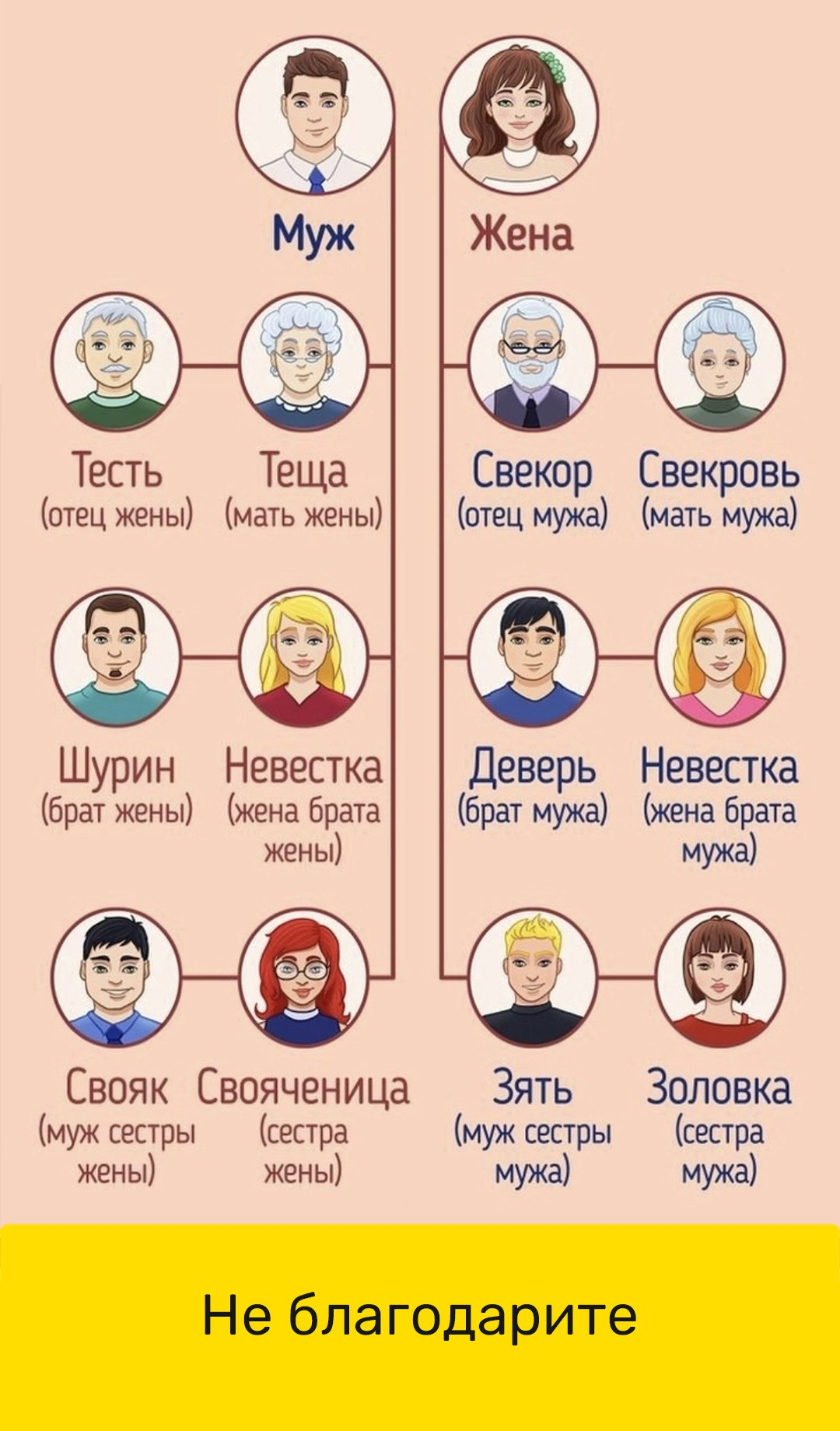 Брат мужа 9. Названия родственников. Родственные связи названия родственников. Жена брата для мужа сестры. Родственники мужа.