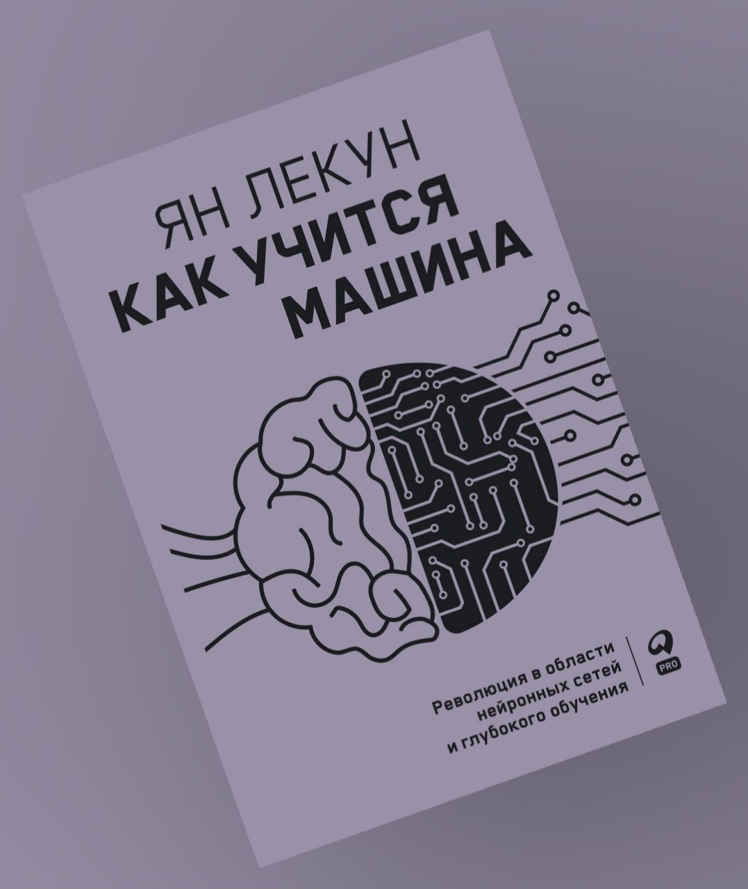 Как учится машина». Обзор книги одного из пионеров нейросетей | Пикабу