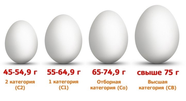 Цены на яйца | Пикабу