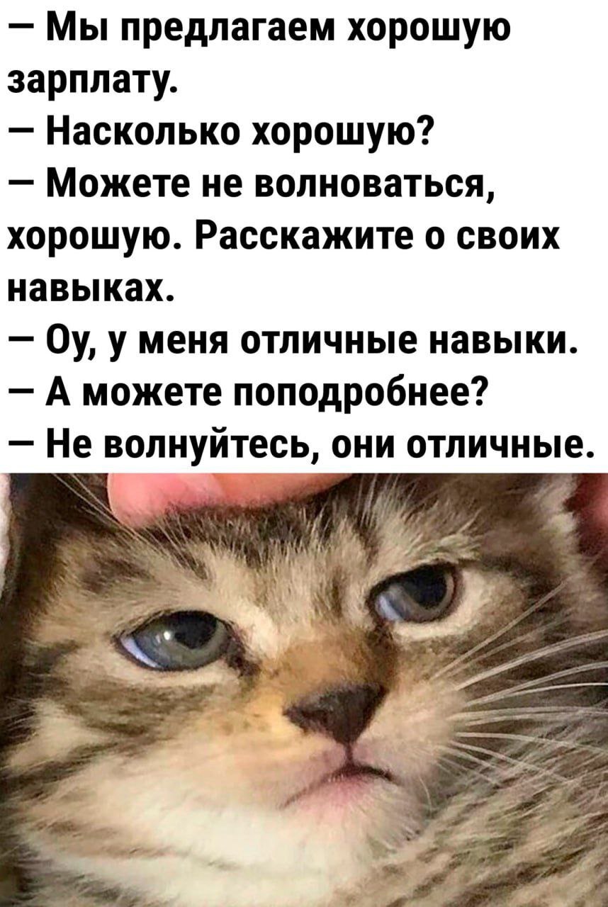 Отличные навыки | Пикабу