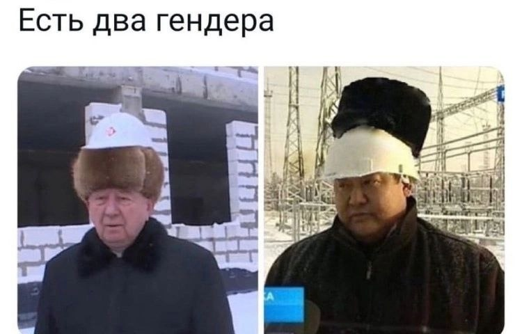 Два гендера | Пикабу