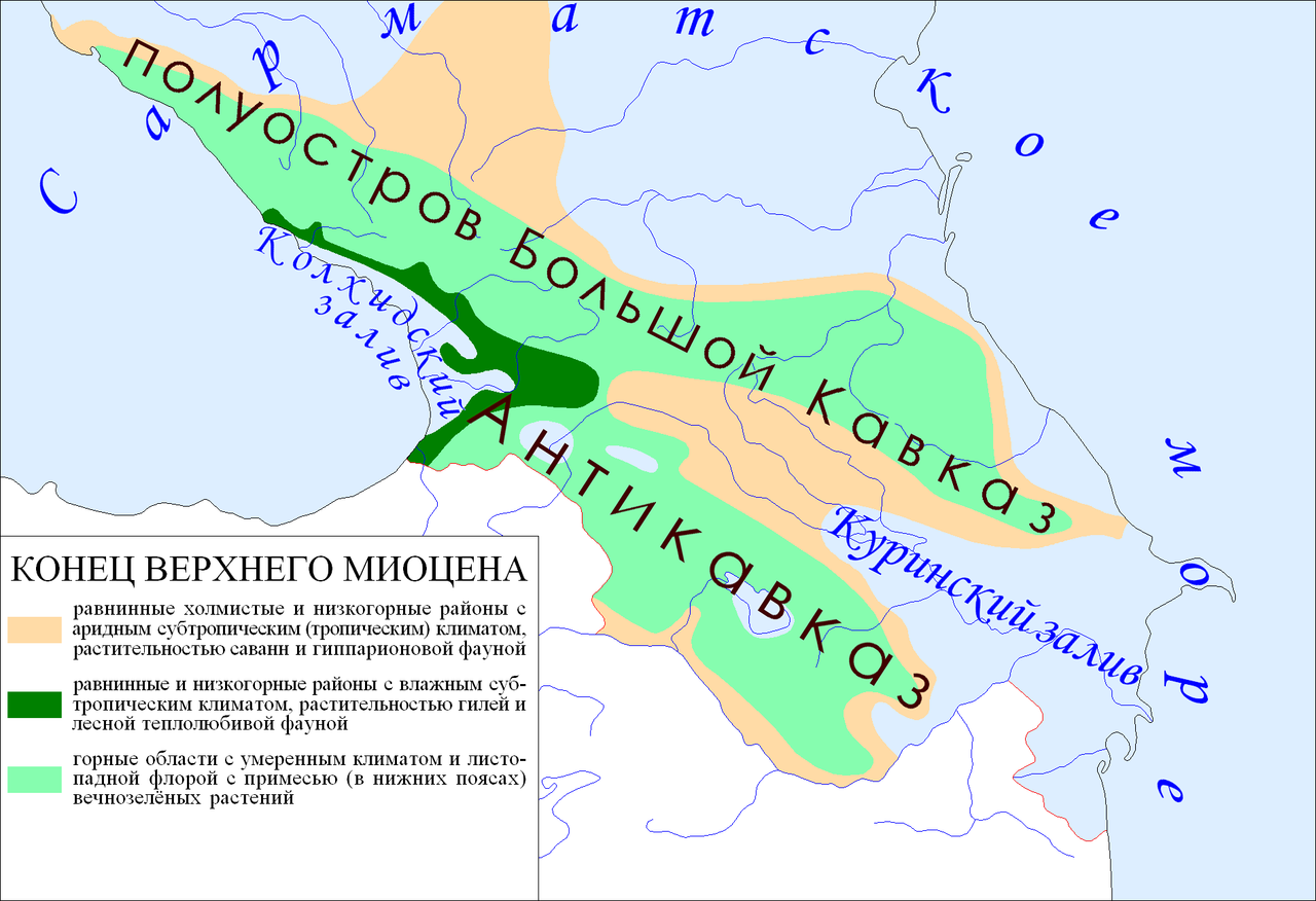 Морское прошлое Армавира: от древнейшего океана Тетис к дням сегодняшним |  Пикабу