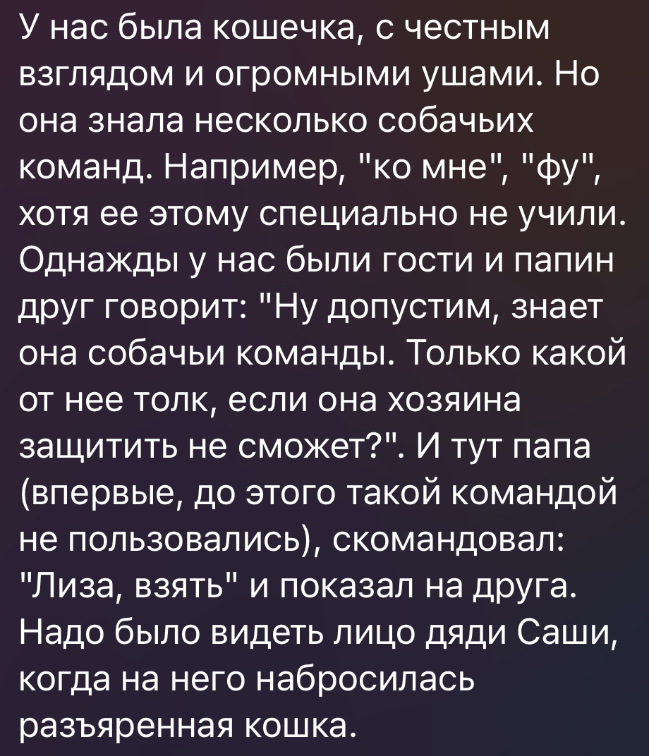 Хорошая киса | Пикабу