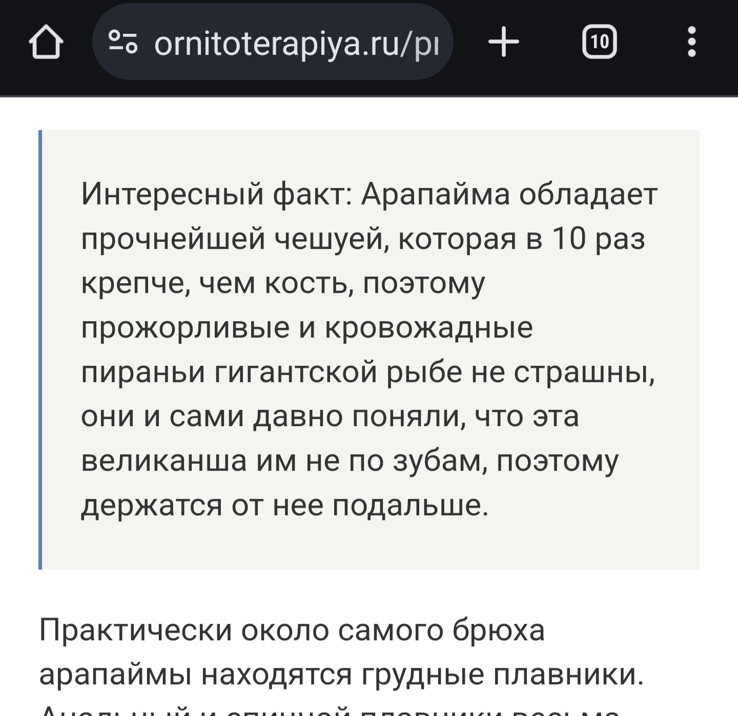 Секрет непробиваемой чешуи или почему пираньи не нападают на арапайм |  Пикабу