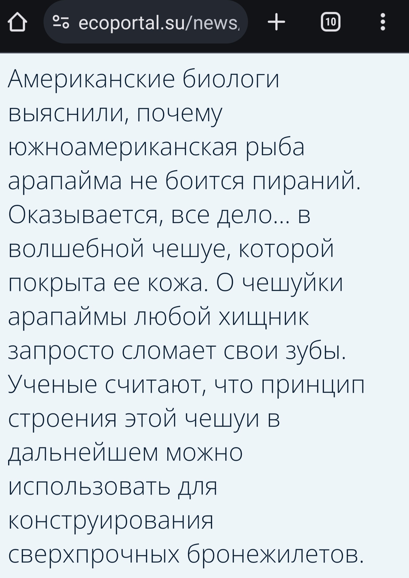 Секрет непробиваемой чешуи или почему пираньи не нападают на арапайм |  Пикабу