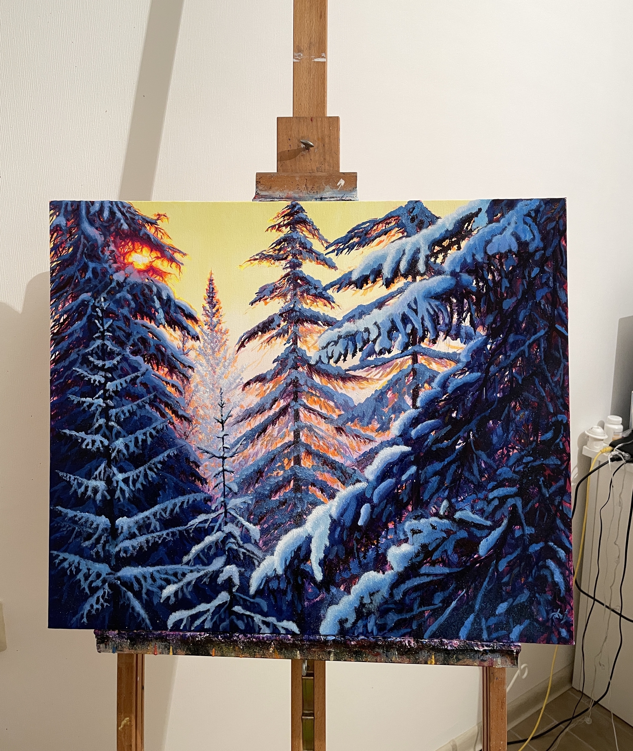 Раскраска Феи: Тайна Зимнего Леса