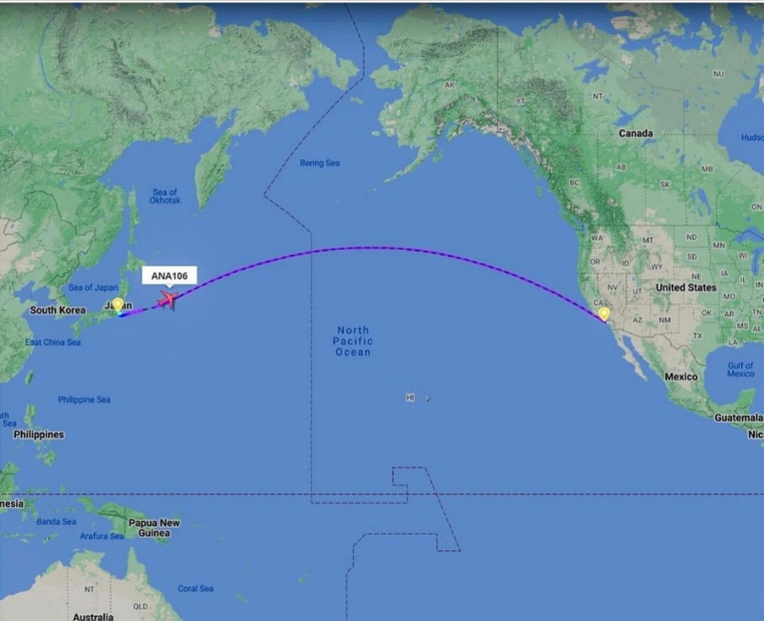 Этот рейс вылетел из Токио в 2024 году и приземлился в Лос-Анджелесе в 2023  | Пикабу