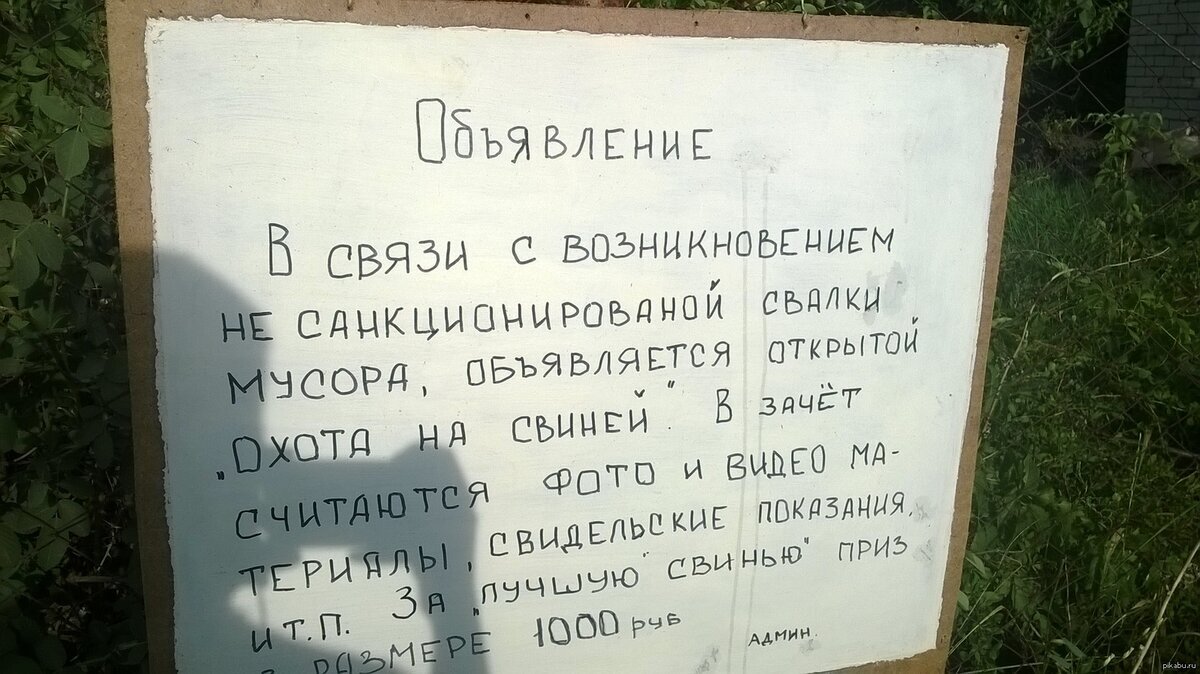 Любимая дача 3 | Пикабу