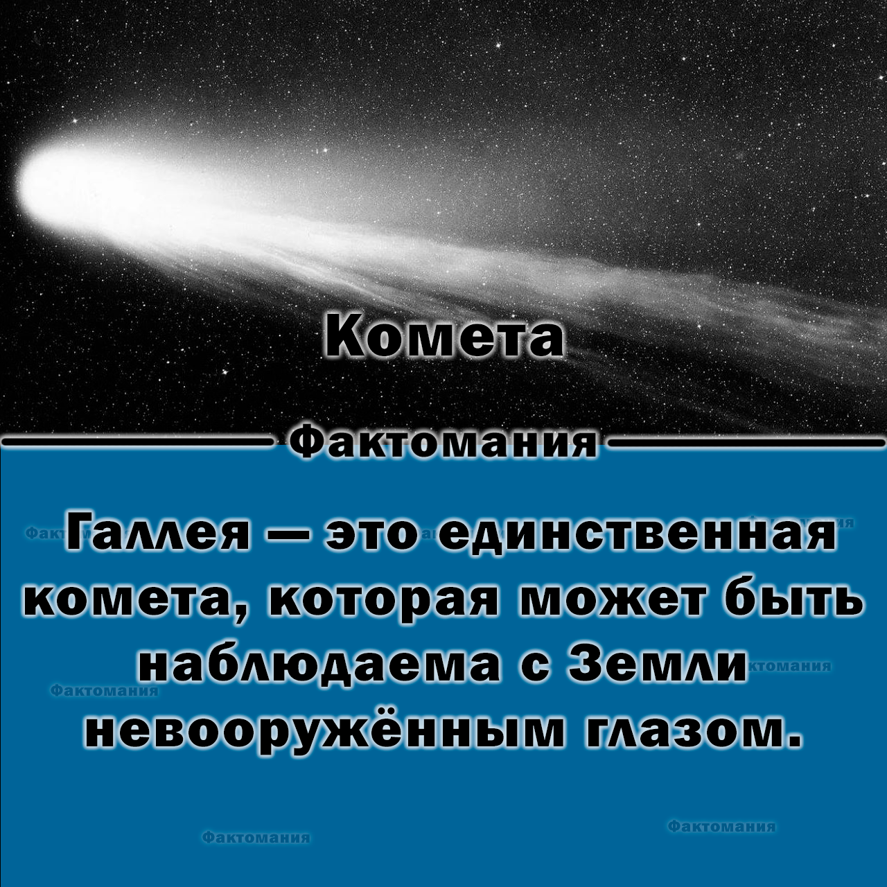 Комета | Пикабу
